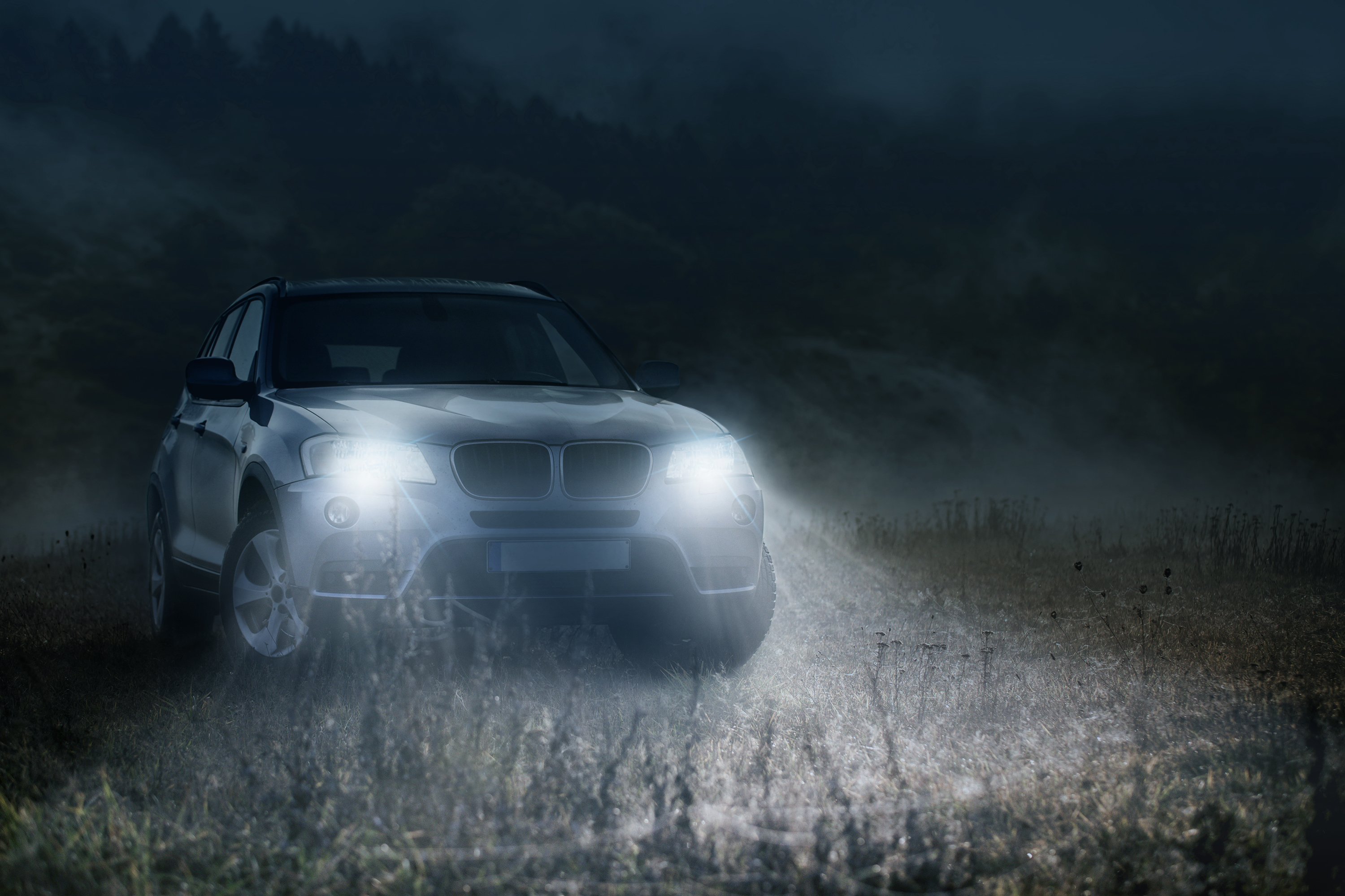 Автолампи NARVA, LED H11 RPL2